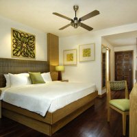 Rainforest chalet1